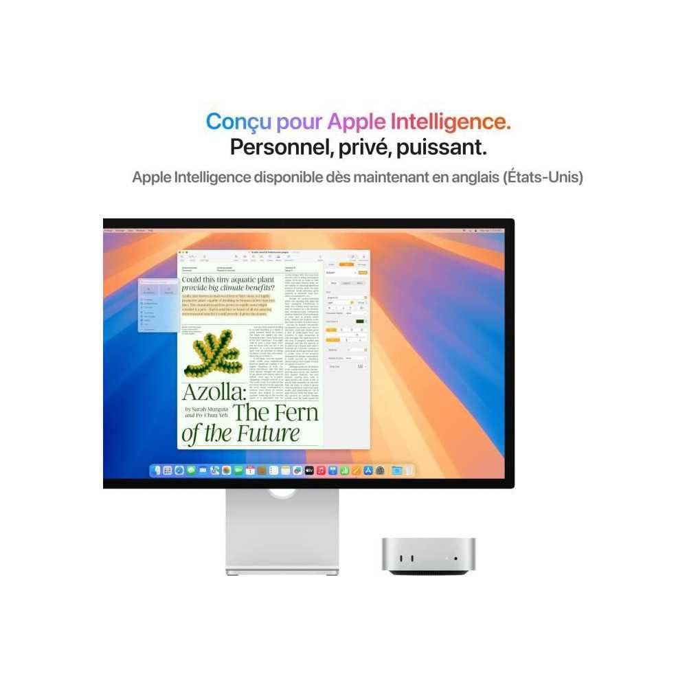 Apple Mac mini Desktop-PC mit M4 Chip, 10-Core CPU und 10-Core GPU - 16GB Unified Speicher, 256GB SSD Speicher, Gigabit Ethernet, kompatibel mit iPhone/iPad