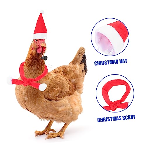 Conjunto de 6 sombreros y bufandas navideñas para mascotas miniatura 2