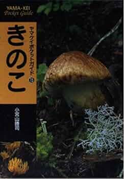 キノコのヤマ様　専用 KBF90N-インパクト用きのこバフ 90×30｜研磨ポイント.com