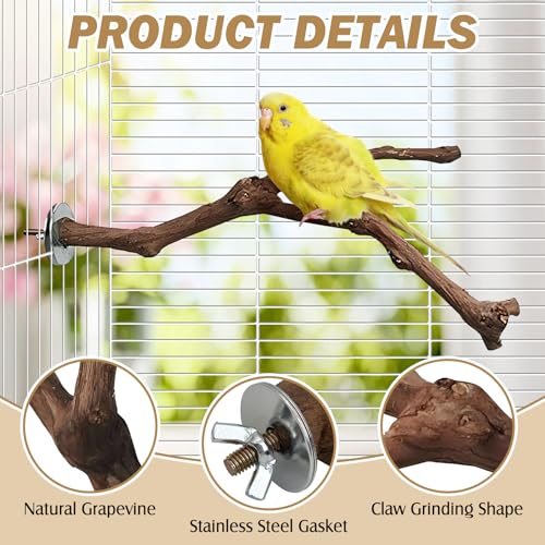 Image of PINVNBY Natural Parrot Perch Grape Wood Bird Stand Pole Parakeet Paw Grinding Fork Chewable Climbing Branches Toy Bird Cage Accessories for Budgies Conures Cockatiels Lovebirds (2 PCS, 5.9IN)