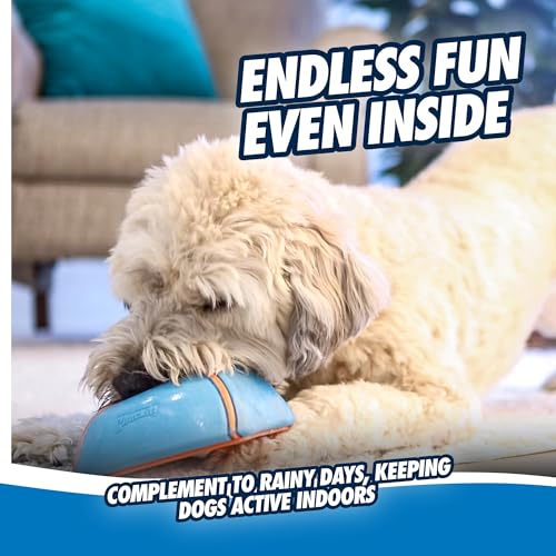 Image of Chuckit! Indoor Super Slider Self-Fetch Squeaky Dog Toy, Durable Rubber | Glides Harmlessly on Most Surfaces to Keep Dogs Busy, Fun, Interactive Toy for Small, Medium and Large Breeds