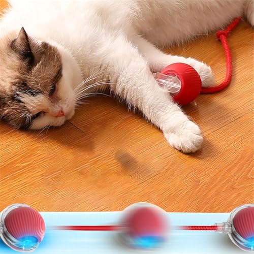 2PCS Interactive Dog Toys,Interactive Rolling Dog Ball Electric Dog Ball Toy Rollie Pet Cat Toy Interactive Rolling Ball Cat Toy 360° Automatic Rolling Toy Ball for Dog/Cat, Rollie Pets (Red+Green) - Image 3