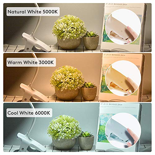 Lampada Lettura con Clip SOAIY, Lampada pinza Luce...