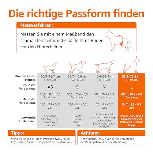 Amazon Basics Hundewindel für Rüden, Einwegwindeln, Größe L, Weiß, 30 Stück