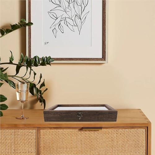 Caja de madera con tapa para exponer mariposas en el salón de casa 5