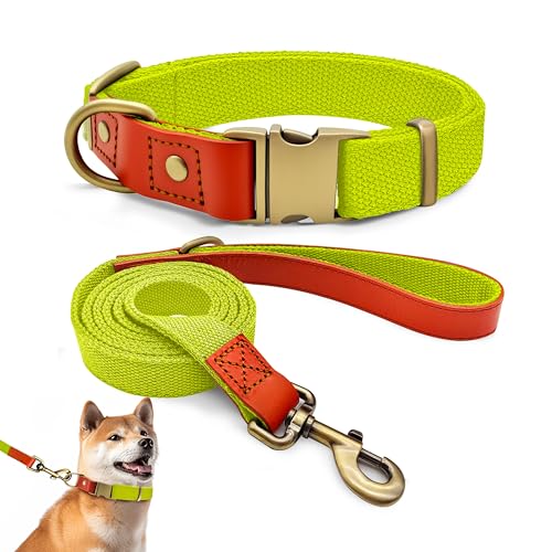 Qianruida Collare e Guinzaglio Cane Taglia Piccola e Media Collari Resistente per Cani in Nylon, per Corsa Passeggiate Formazione, Giallo Fluorescente, M