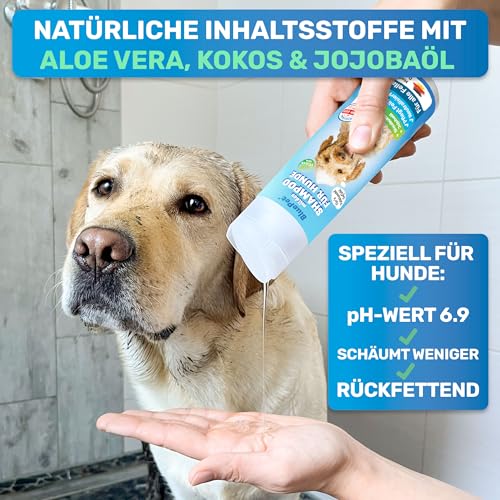 BluePet Mildes Hundeshampoo Gegen Juckreiz, Gerüche & Schmutz 200ml - Rückfettend & pH-Neutral - Für alle Hunderassen, Langhaar & Weißes Fell + Mit Aloe Vera & Jojobaöl