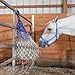 Majestic Ally Pack of 2 Adjustable Halter for Horses–Adjustable Chin and Crown– Sewn-in Throat Snap Hook- Heavy Duty Rose Gold or Black Nickel Finish Hardware–Full (Royal Blue, Full)