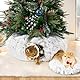 Unisun XXL Katzentunnel Große Katzen, Donut Katzenspielzeug mit Schlafplatz, Weihnachtsbaum Spieltunnel Faltbarer Verstecktunnel für Kitten & Kleintiere (Aschgrau, 92cm)​