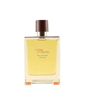 Amazon.com : Hermès Terre D'Hermes Eau Intense Vetiver EDP