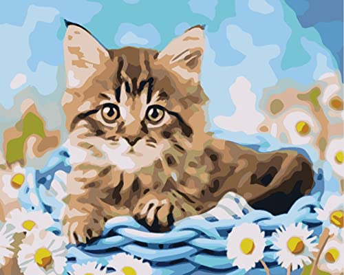 Peinture au diamant 5D chaton pour oublier le stress quotidien par l'artisanat calme