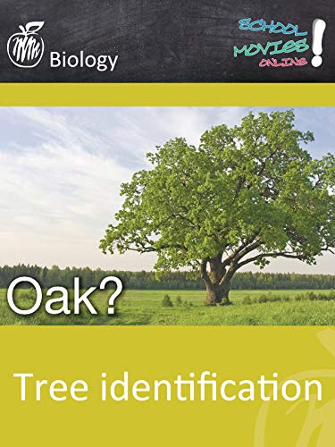 Tree identification - School Movie on Biology