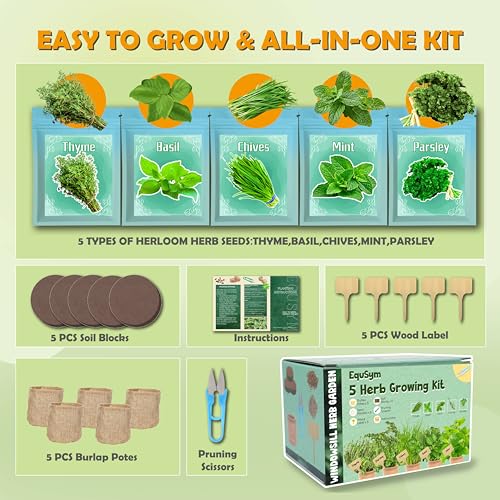 5 Herb Window Garden Kit Indoor - Herb Seeds for Indoor & Outdoor Planting, Gardening Gift for Kids, Moms, Women, Beginners - Complete Starter Kit with Pots, Soil, Basil, Mint, Thyme, Parsley - Thumbnail 3