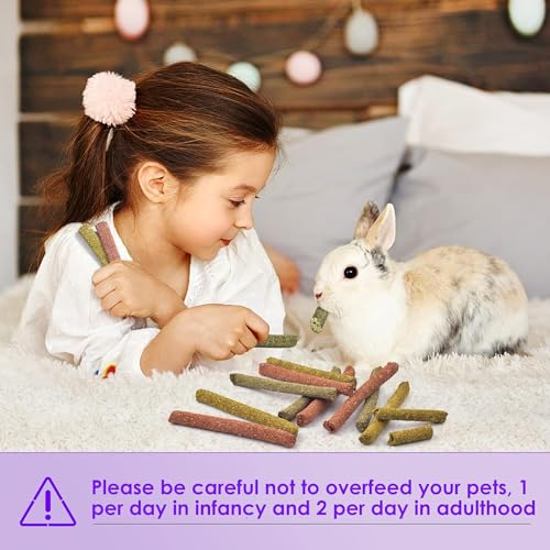 Bissap 72PCS Rabbit Chew Sticks, Mixed Natural Timothy Hay Oat Carrot Bunny Chew Toys and Treats for Rabbits Bunnies Chinchillas Guinea Pigs Hamsters and Other Small Animals Molar Snacks - Image 6