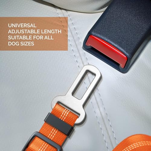 Adjustable Dog Car Harness | Seat Belt for Pets with Elastic Bungee Buffer | Essential Travel Accessory - Orange