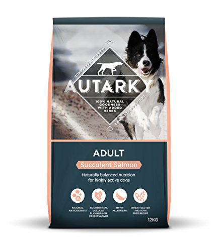 Best salmon dry dog food