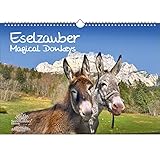 Eselzauber - Calendario permanente (DIN A3, diseño de burro)