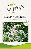 Echter Baldrian Lubelski Kräutersamen