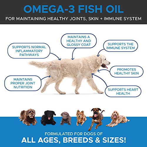Pethonesty Omega-3 Fish Oil For Dogs - Pet Liquid Food Skin & Coat Health Supplement - Epa + Dha Fatty Acids, May Reduce Shedding & Itching- Supports Immunity, Hip Joint, Brain & Heart Health - (16Oz) #TOP1