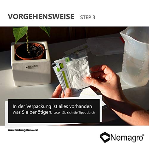 Nematoden Nemagro SF zur Bekämpfung von Trauermücken und Ameisen