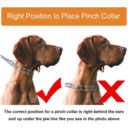 Cbbpet Dog Prong Collar, Adjustable Dog Training Collar With Quick Release Buckle For Small Medium Large Dogs #TOP4