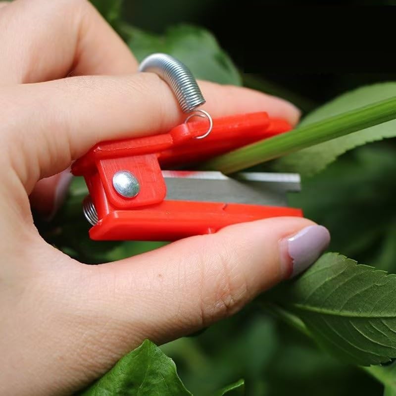 3 piezas cuchillo para jardinero y tijeras de podar miniatura 6