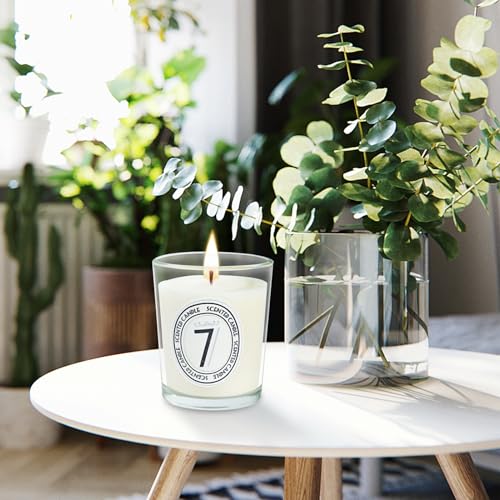 Scented Candles Gifts Set, Vintage Retro Stlye Hand Poured Natural Soy Wax Transparent Glass Candles Perfect Women & Men Gifts with Essential Oils for Aromatherapy Relaxation 12pcs - Image 7