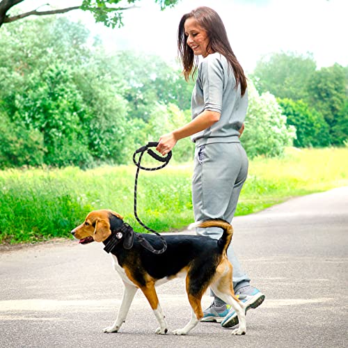 Maidek Dog Collar Airtag Holder - Heavy Duty & Thick Titanium Gps Tracker Holder, Reflective Nylon - Chewproof, Magnetic Dog Collar Tag With Leash, Poop Bag - Black, Medium Size 1.25X15-18 #TOP3