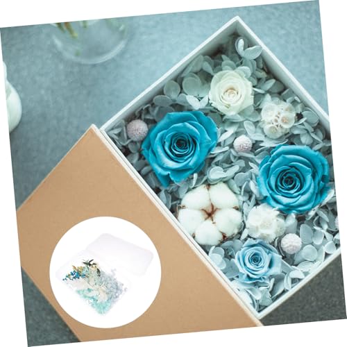 Kits de flores secas naturales para decoración artesanal miniatura 6