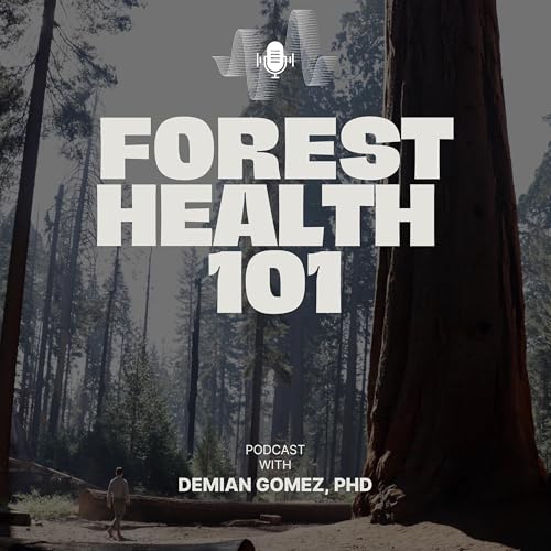 Forest Health 101 Titelbild