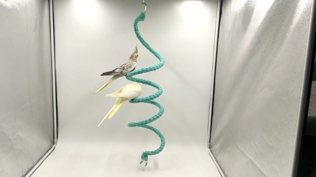 Posatoio A Spirale Per Uccelli 150 Cm - Giocattolo Oscillante Per Pappagalli, Cocorite, Cacatua - Foto 14