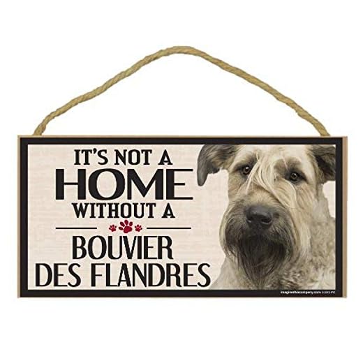Imagine This Wood Sign for Bouvier Des Flandres Dog Breeds