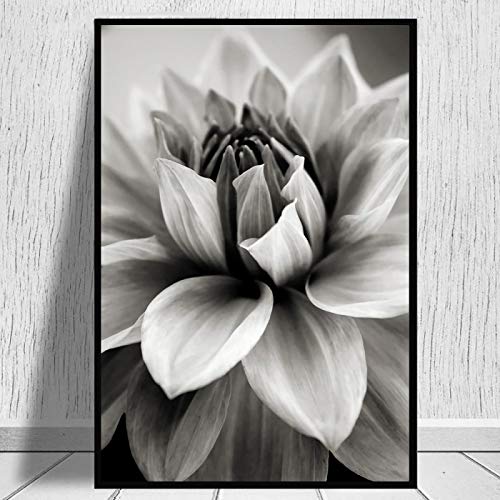 Affiche fleur de Dahlia grand format pour habiller un mur vide avec art scandinave