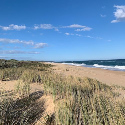 S5 Ep5: Slow Light Breathing (#221)