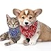 gerFogoo 4 Stück Hunde Bandana Kopftücher, Hundehalstuch mit Halsband, Dreieckstuch Halsdreiecke Hundehalstcher, Einstellbare Hund Halstuch für Welpen Kleine Große Hunde und Katzen(S)
