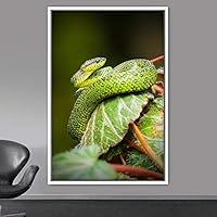 Framed Canvas Wall Art Snake Contemporary Dramatic Hallway Multicolor Photography Reptiles Snakes - 16x24 inches