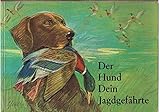  Der Hund Dein Jagdgefährte