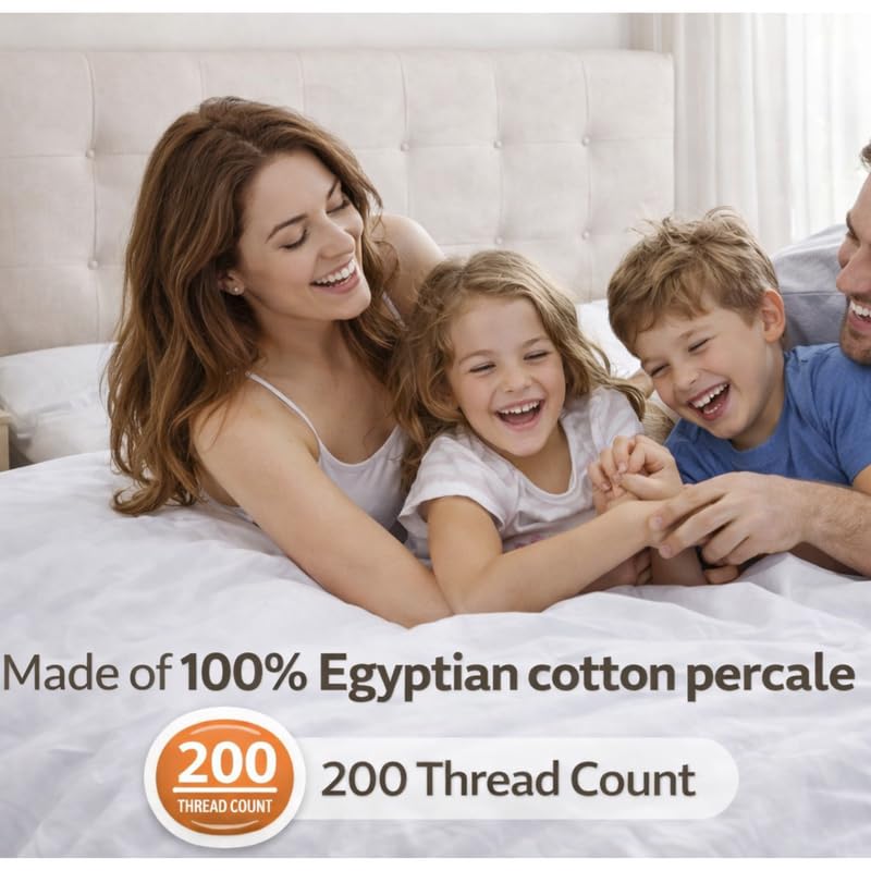 View 4