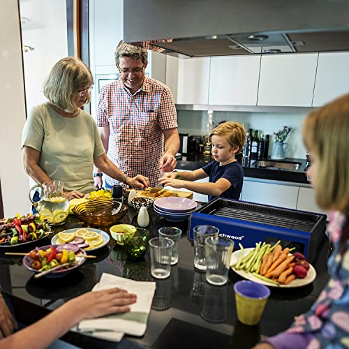 Indoor Smokeless Grill Techwood 1500W Electric Grill With Tempered Glass Lid & Led Smart Control Panel, 8-Level Control Korean Bbq Grill With Removable Grill/Griddle Plate, Stainless Steel (Blue) #TOP6