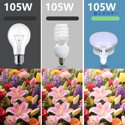 RAYZEN 三色LED ソフトボックス 照明キット 照明 撮影 3000K～6000K 白色光・自然光・暖色光モード リモコン付き 50×70cm 撮影用照明セット 2m三脚スタンド付属 スタジオ照明・ソフトボックス・定常光｜収納バッグ付き ポートレート撮影・スタジオ撮影・広告撮影・インタビュー撮影に最適 [PSE取得済み]