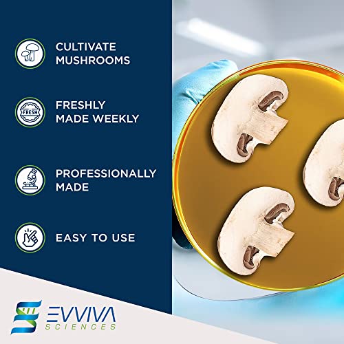 Evviva Sciences Potato Dextrose Agar Petri Dishes - Prepoured Potato Dextrose Agar (Pda) - For Mushrooms, Home Test Kit, Or For Science Fair Projects, Petri Dishes With Agar #TOP4