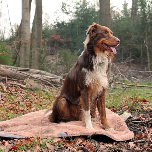 ThermoSwitch Hundedecke Samos, Thermo-Isolierende Hundedecke, Wasserabweisend, Maschinenwaschbar, Transportbeutel (Braun, 140x100cm)