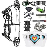 Archery Steel Ball Dual-Use Compound Bow Set 30-70 LBS...