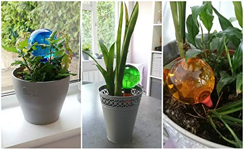 Plantpal, globi per irrigazione (; Verdi, Uno Blu