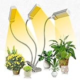 Sicher für den Innenbereich: Unsere LED-Wachstumsleuchten übernehmen die Technologie des Überstroms, die Überhitzung, den Überspannungsschutz, diese Innenanlagenbauleuchten können sicher für Innenanlagen, Hydrokörper, Gewächshäuser usw. verwendet werden. Was ist mehr, diese Pflanze wächst Beleuchtung innen auchWird als Schreibtischlicht, Tischleuchte oder Augenleuchte mit dem nachgeahmten natürlichen Licht verwendet.