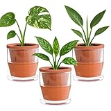 D'vine Dev 4 Inch Design Self Watering Pot for Indoor Plants, Terracotta Planter with Cylinder Glass Cup, Set of 3, 37-Z-A-1-T