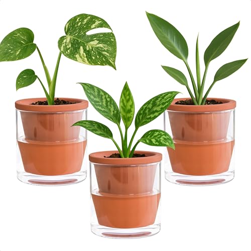 D'vine Dev Selbstbewässernder Topf für Zimmerpflanzen, Terrakotta-Pflanzgefäß mit Zylinderglasbecher, 3 Stück, 37-Z-A-1-T