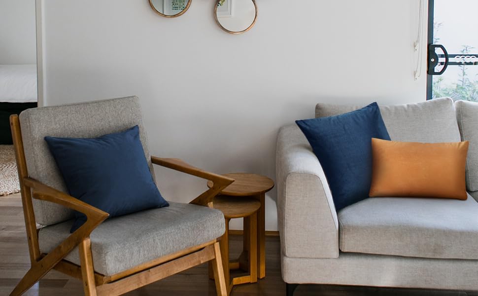 PETSTIBLE Juego de 4 fundas de almohada de terciopelo suave y sólido, fundas de almohada decorativas para el hogar, sofá, dormitorio, automóvil, 2