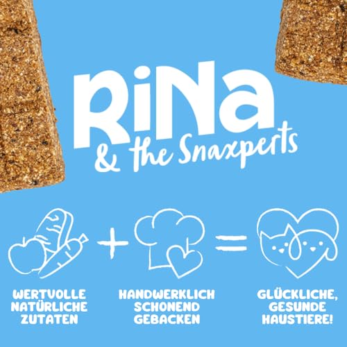 Superfood Hundekuchen Riegelbox 10× Super Sardine – Brokkoli, Spirulina, Kokosöl & Bierhefe – Proteinreich, glutenfrei & ofengebacken – Für Fell, Haut & Immunsystem – RiNa leckerer Hundekuchen