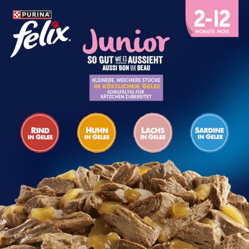 FELIX So gut wie es aussieht Junior Nassfutter, 72er Pack (6 x 12 x 85g)
